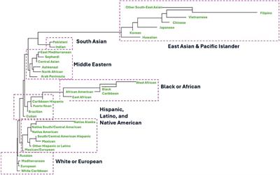 Race, ethnicity, ancestry, and aspects that impact HLA data and matching for transplant